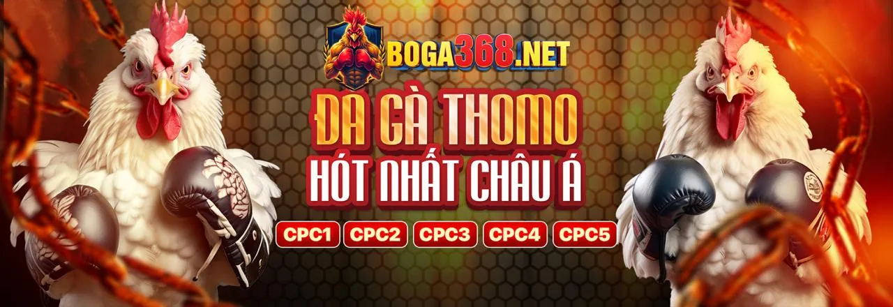 Đá gà trực tuyến kịch tính tại link xin88